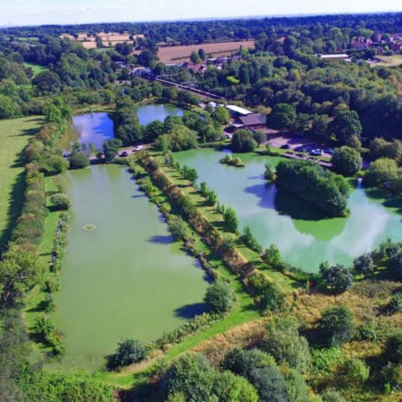 Lavender Hall Fishery